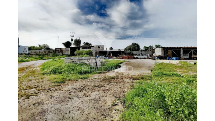 Armazém para Venda em Alcanena e Vila Moreira Foto 16