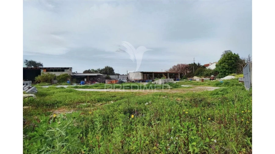 Armazém para Venda em Alcanena e Vila Moreira Foto 17