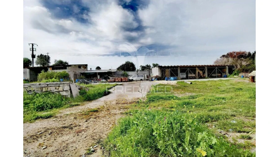 Armazém para Venda em Alcanena e Vila Moreira Foto 14