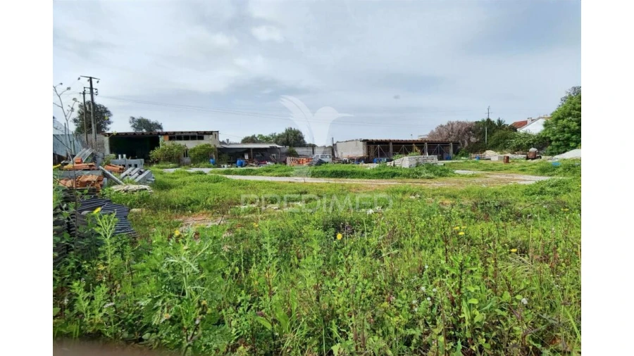 Armazém para Venda em Alcanena e Vila Moreira Foto 11