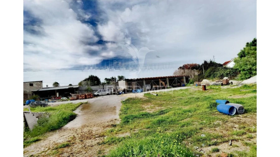 Armazém para Venda em Alcanena e Vila Moreira Foto 15