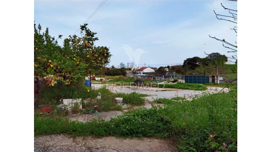 Armazém para Venda em Alcanena e Vila Moreira Foto 12