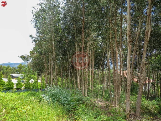 Terreno para Venda em Sandim, Olival, Lever e Crestuma Foto 10