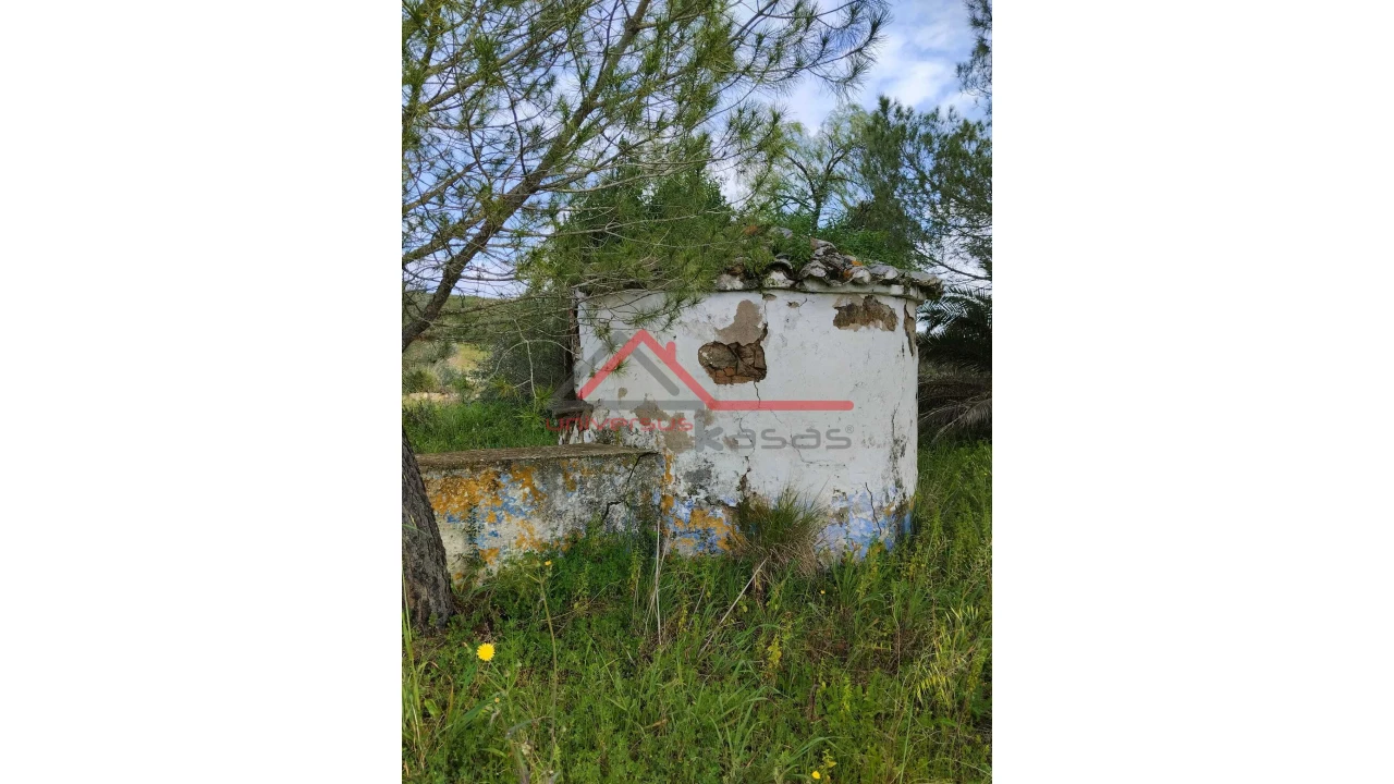 Quinta T0 para Venda em Salvada e Quintos Foto 17