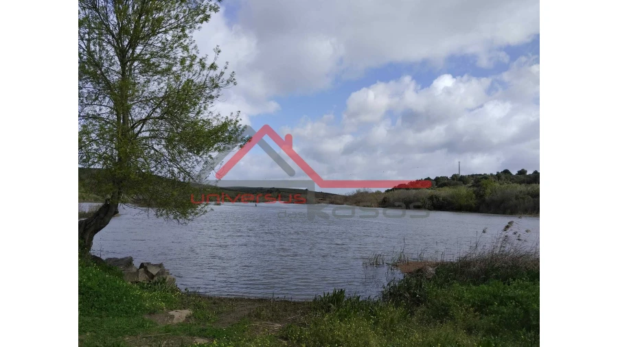 Quinta T0 para Venda em Salvada e Quintos Foto 15