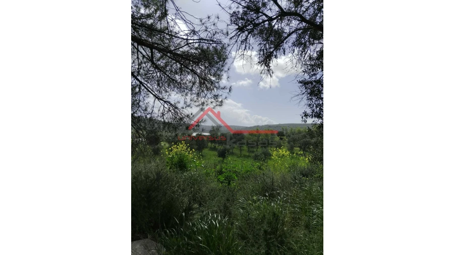 Quinta T0 para Venda em Salvada e Quintos Foto 4