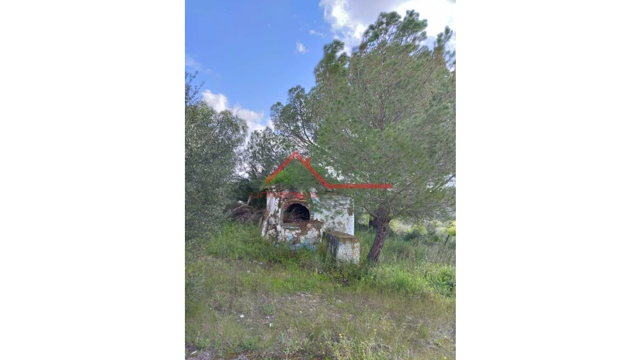 Quinta T0 para Venda em Salvada e Quintos Foto 10