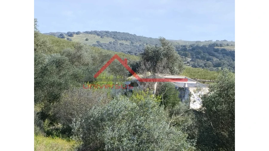 Quinta T0 para Venda em Salvada e Quintos Foto 19