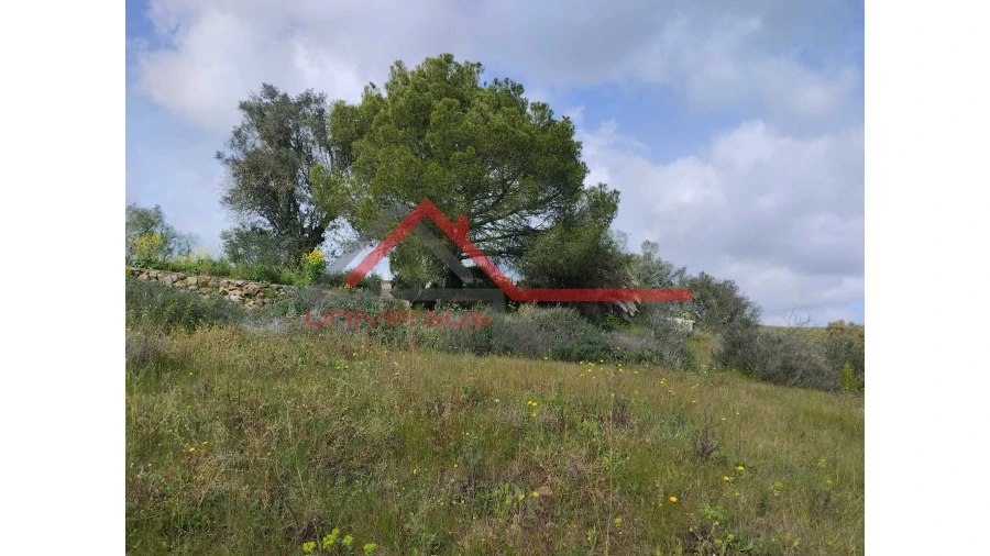 Quinta T0 para Venda em Salvada e Quintos Foto 18