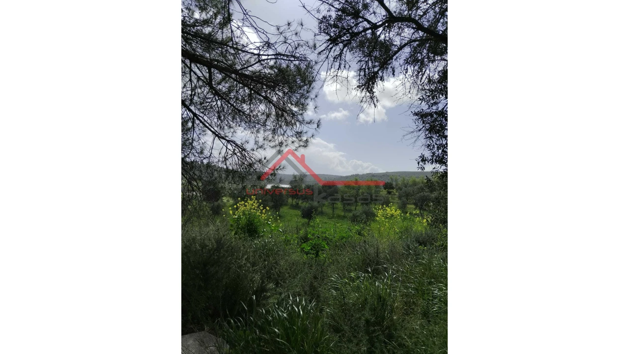 Quinta T0 para Venda em Salvada e Quintos Foto 4