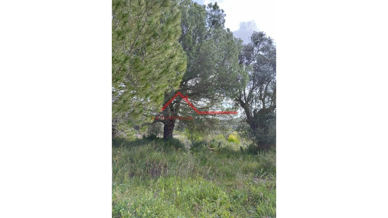 Quinta T0 para Venda em Salvada e Quintos Foto 12