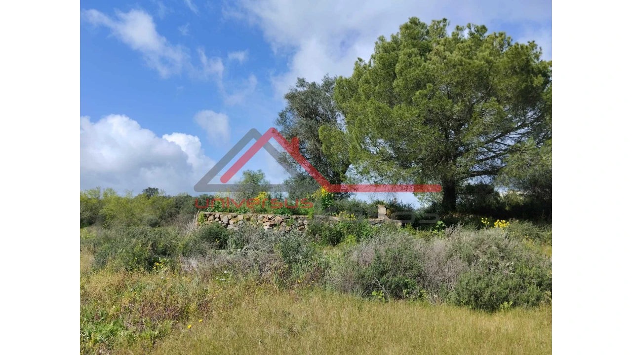 Quinta T0 para Venda em Salvada e Quintos Foto 14