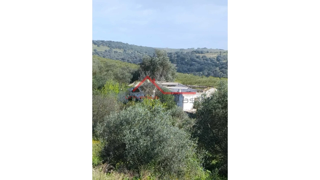 Quinta T0 para Venda em Salvada e Quintos Foto 16