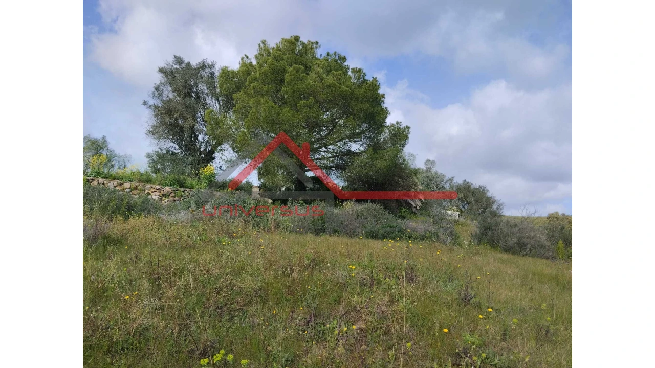 Quinta T0 para Venda em Salvada e Quintos Foto 18