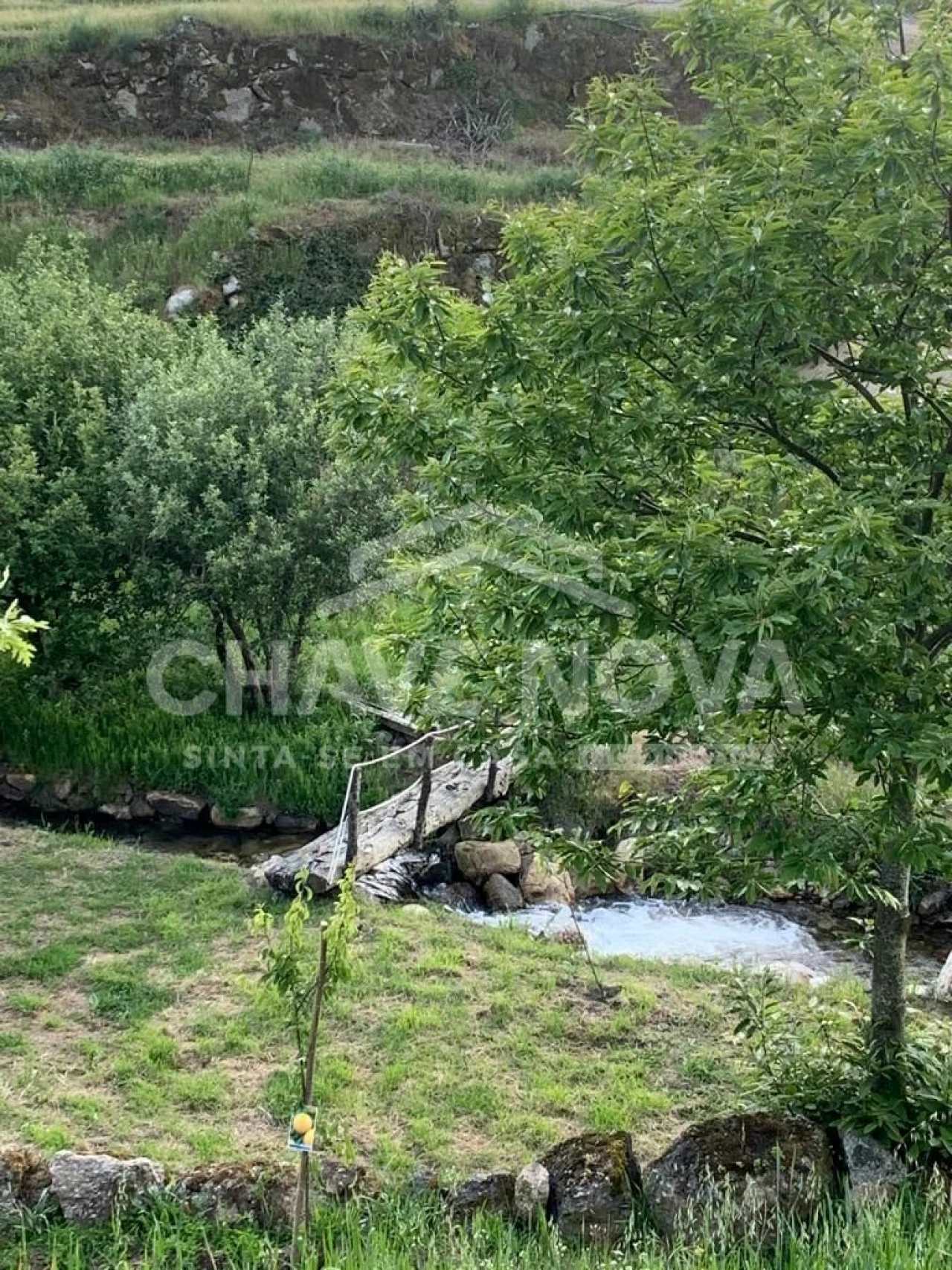 Quinta T2 para Venda em Figueiró da Serra e Freixo da Serra Foto 23