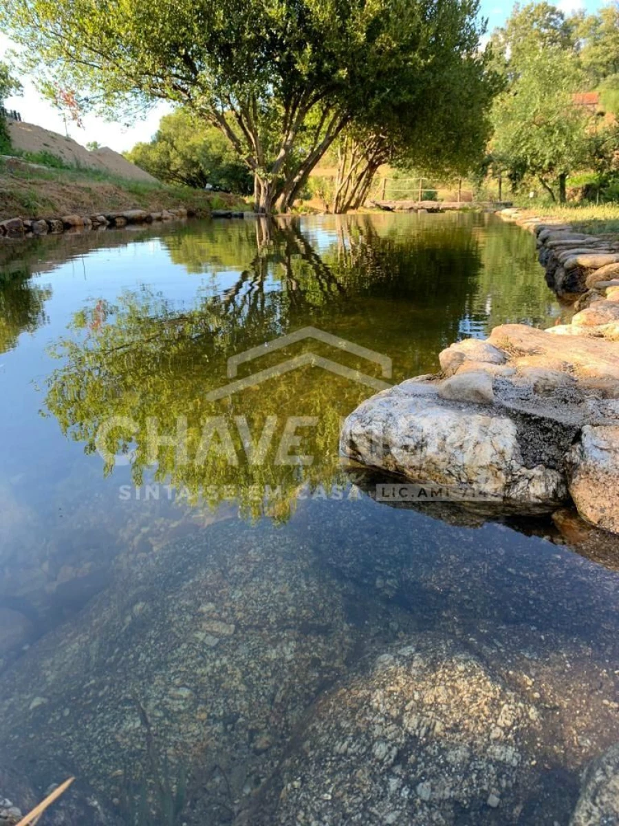Quinta T2 para Venda em Figueiró da Serra e Freixo da Serra Foto 7