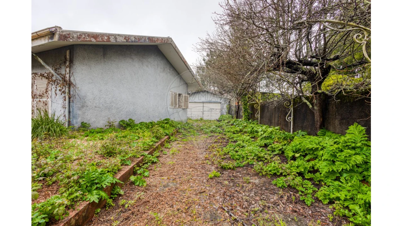 Moradia T3 para Venda em Grijó e Sermonde Foto 18