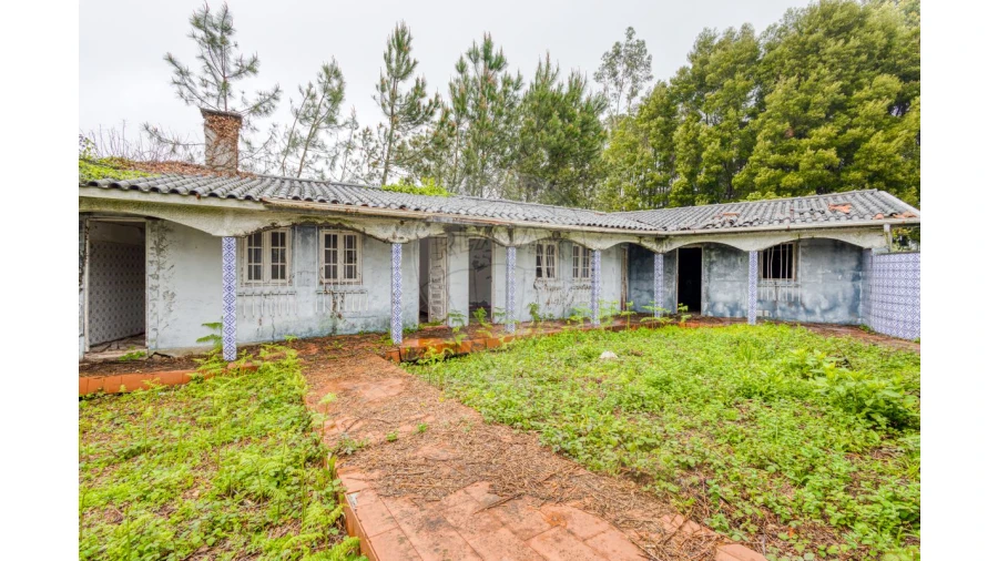 Moradia T3 para Venda em Grijó e Sermonde Foto 23