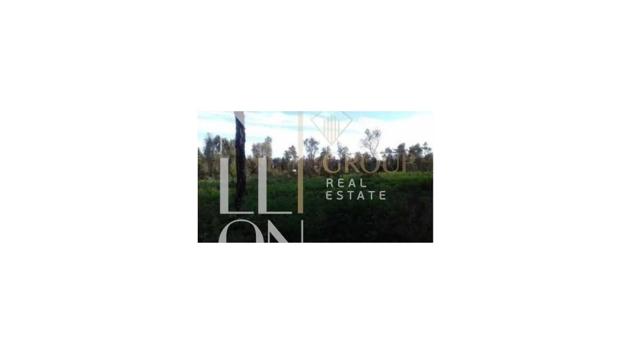 Terreno para Venda em Serzedo e Perosinho Foto 2