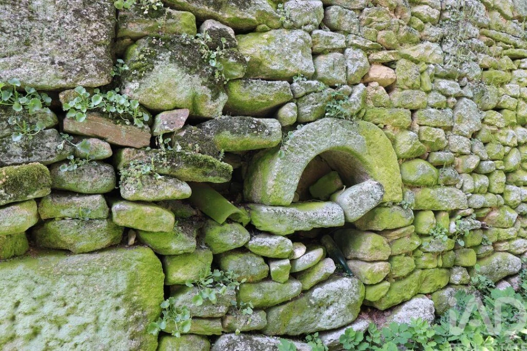 Moradia para Venda em Mouçós e Lamares Foto 29
