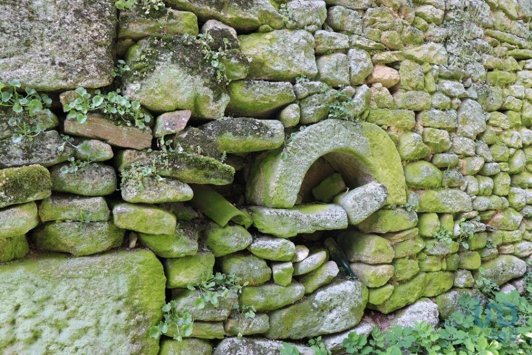 Moradia para Venda em Mouçós e Lamares Foto 8