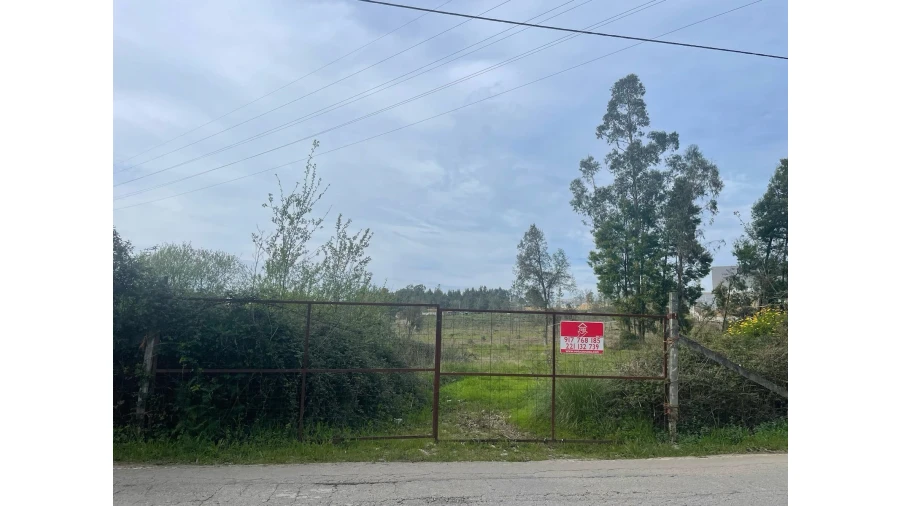 Terreno para Venda em Rio Meão Foto 3