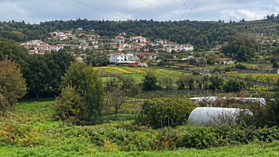 Terreno para Venda em Penamaior