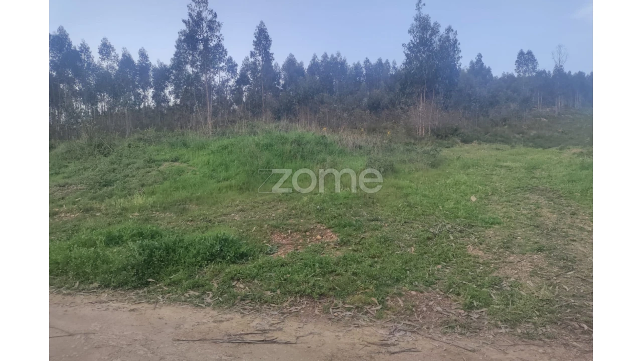 Terreno para Venda em Coronado (São Romão e São Mamede) Foto 4