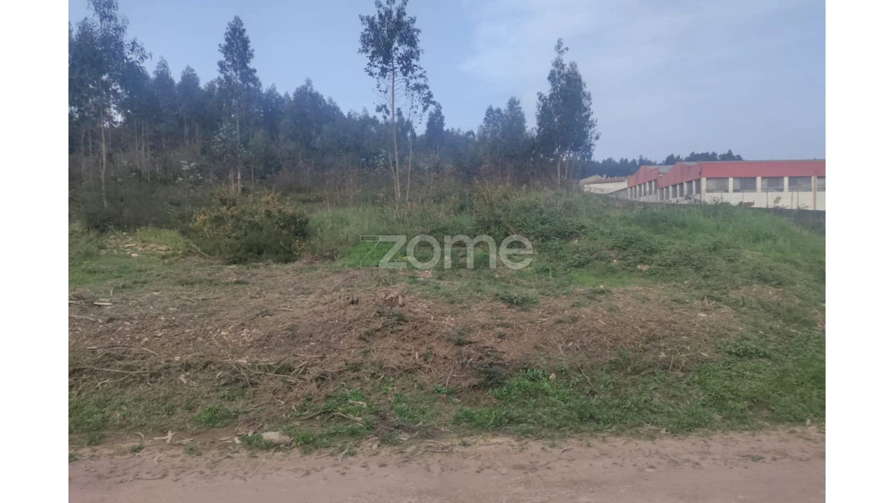 Terreno para Venda em Coronado (São Romão e São Mamede) Foto 5