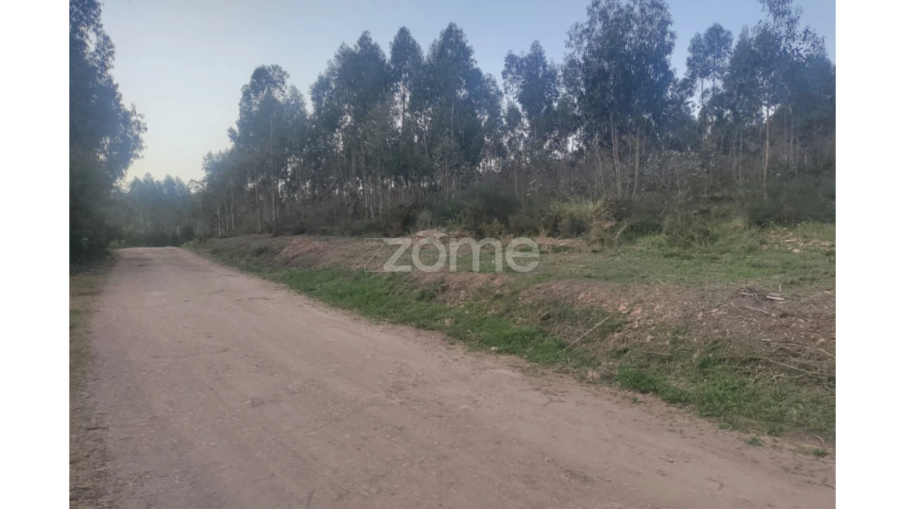 Terreno para Venda em Coronado (São Romão e São Mamede) Foto 7