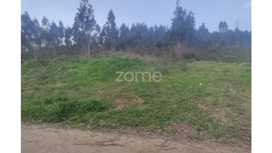 Terreno para Venda em Coronado (São Romão e São Mamede) Foto 4