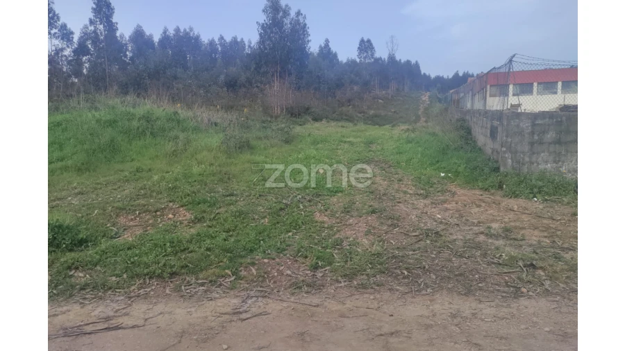 Terreno para Venda em Coronado (São Romão e São Mamede) Foto 6