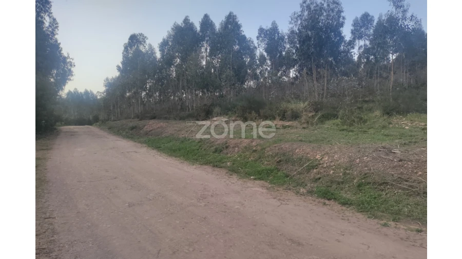 Terreno para Venda em Coronado (São Romão e São Mamede) Foto 7