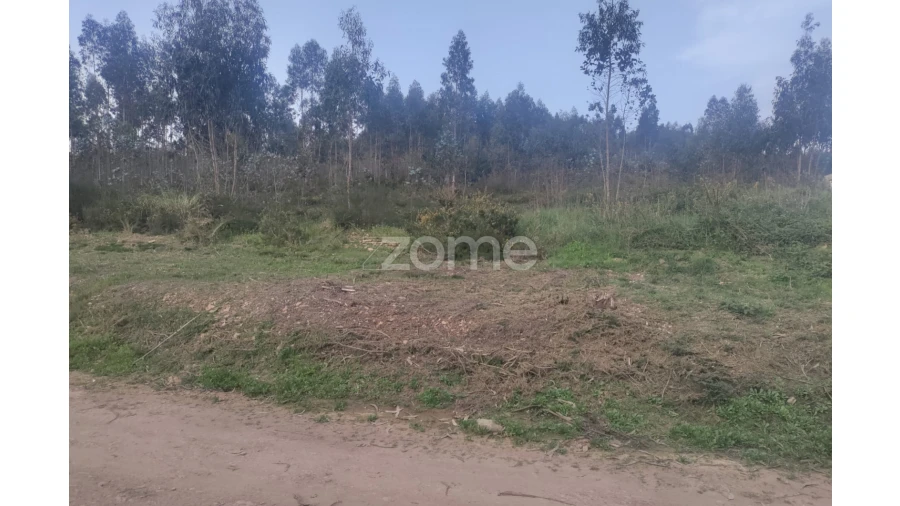Terreno para Venda em Coronado (São Romão e São Mamede) Foto 8