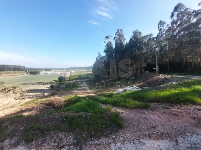Terreno para Venda em Olho Marinho Foto 2