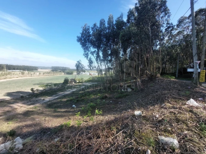 Terreno para Venda em Olho Marinho Foto 1