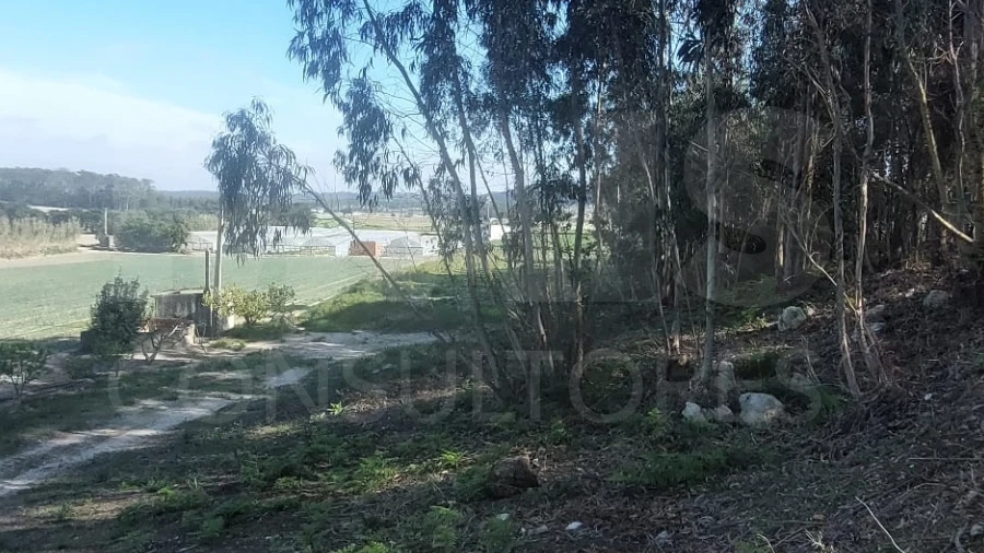 Terreno para Venda em Olho Marinho