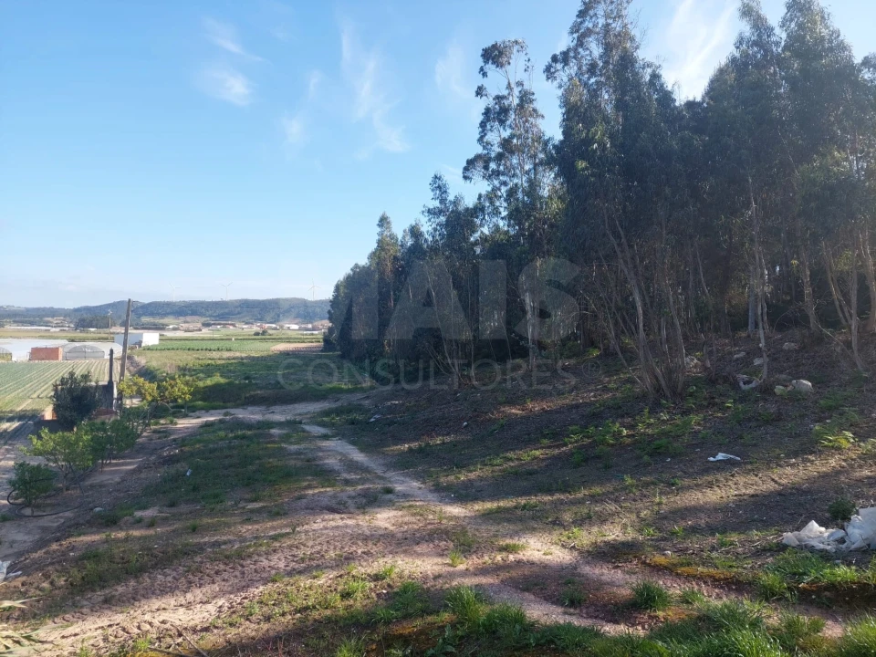 Terreno para Venda em Olho Marinho Foto 4