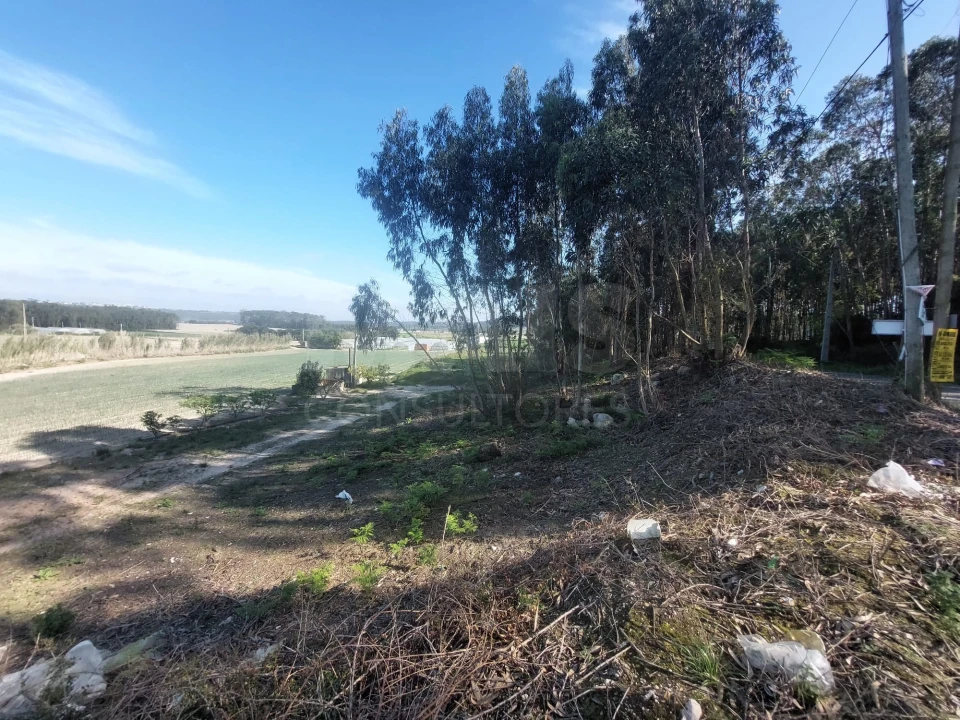 Terreno para Venda em Olho Marinho Foto 1