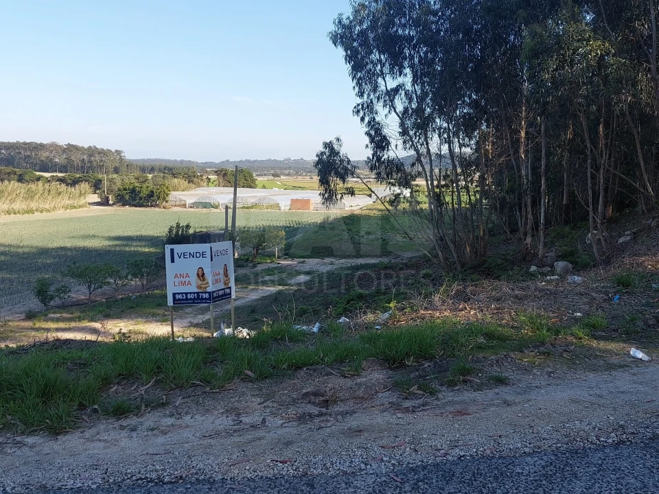 Terreno para Venda em Olho Marinho Foto 8