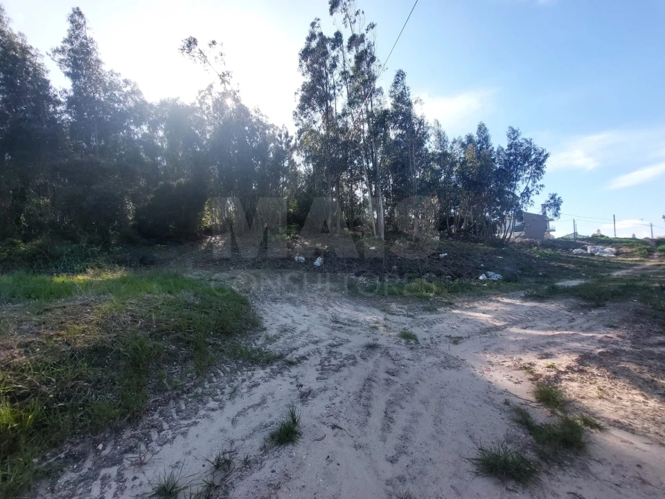 Terreno para Venda em Olho Marinho Foto 6