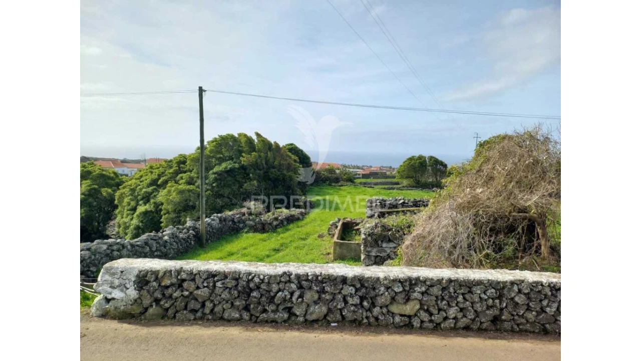 Terreno para Venda em São Bartolomeu de Regatos Foto 11