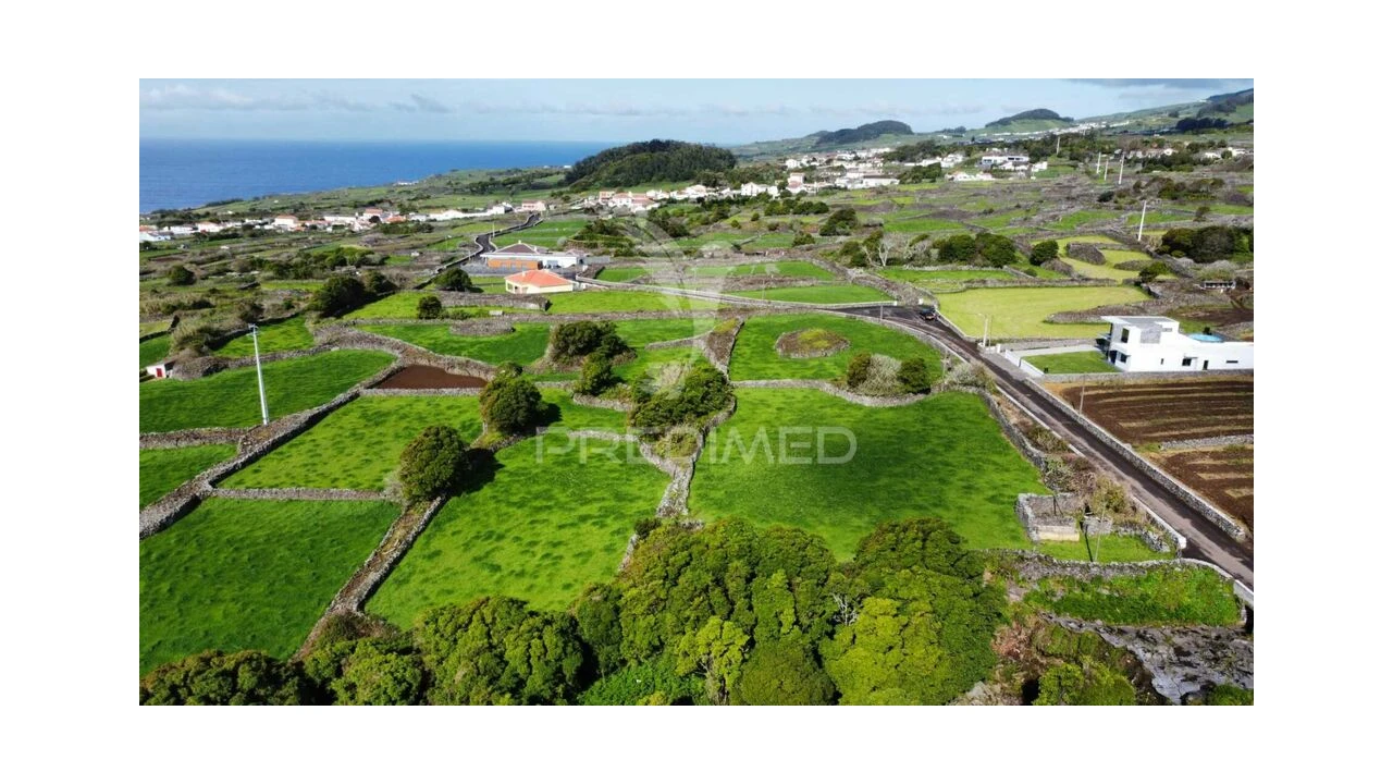 Terreno para Venda em São Bartolomeu de Regatos Foto 5