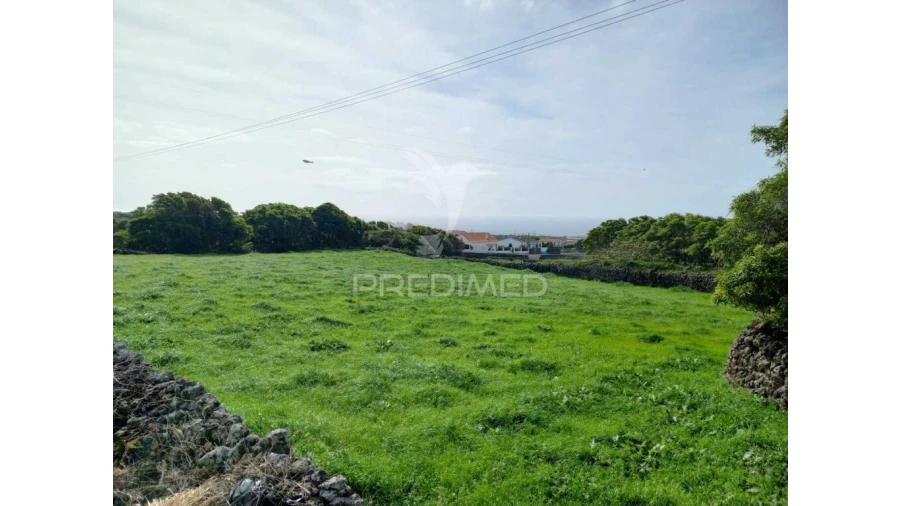 Terreno para Venda em São Bartolomeu de Regatos Foto 19