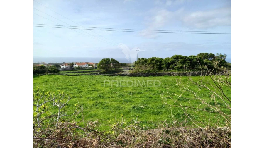 Terreno para Venda em São Bartolomeu de Regatos Foto 12