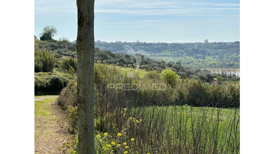 Terreno para Venda em Azambujeira e Malaqueijo Foto 9