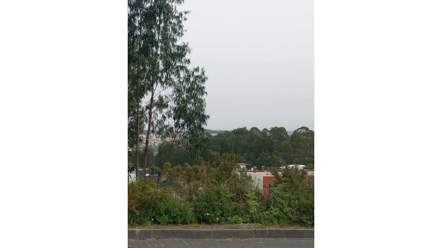 Terreno para Venda em Leiria, Pousos, Barreira e Cortes Foto 5