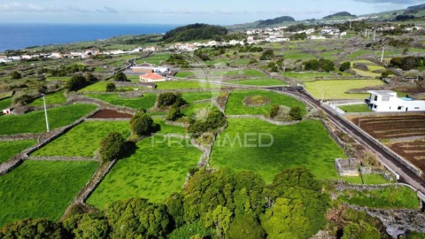 Terreno para Venda em São Bartolomeu de Regatos