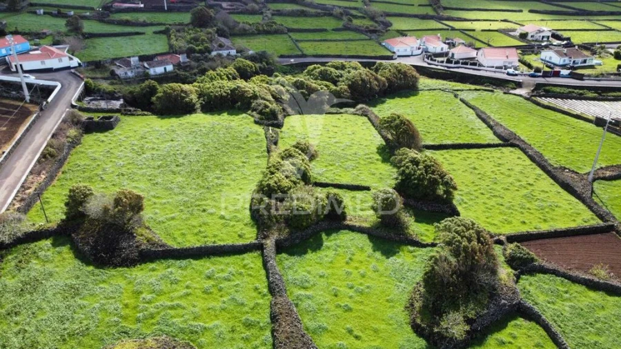Terreno para Venda em São Bartolomeu de Regatos Foto 10