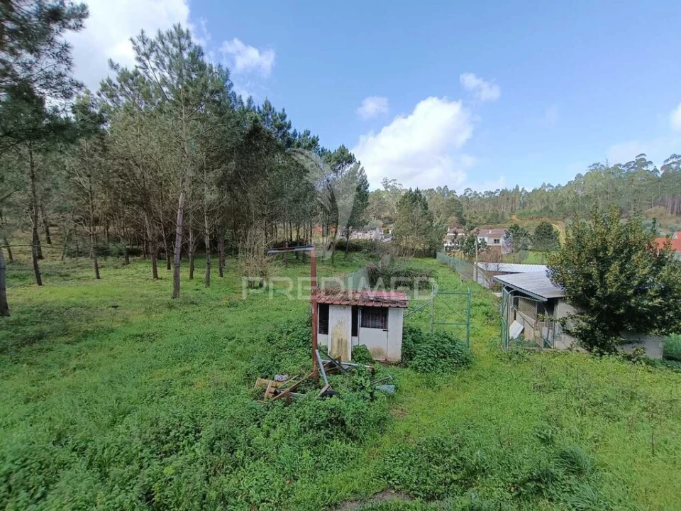 Armazém para Venda em Arrabal Foto 9